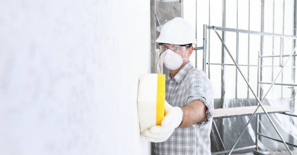 Best Mold Remediation for Healthcare Facilities  in Crugers, NY