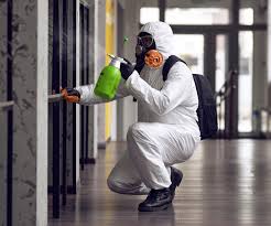 Best Emergency Mold Remediation  in Crugers, NY